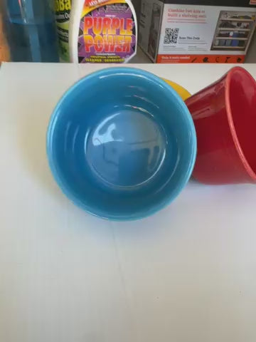 FIESTA WARE RAMEKIN BOWLS